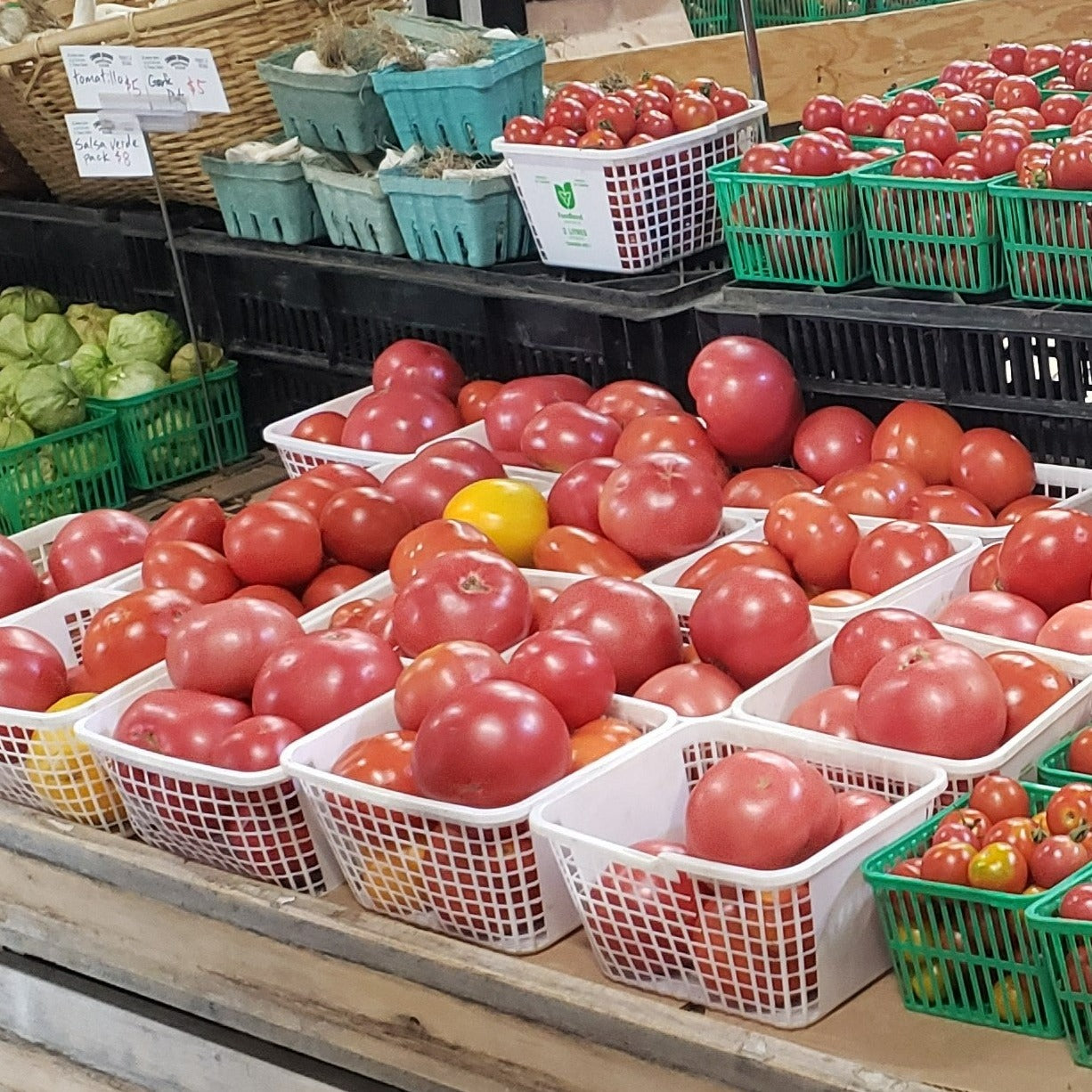 Beefsteak Tomato