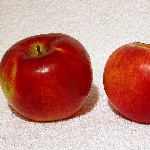 Courtland Apples