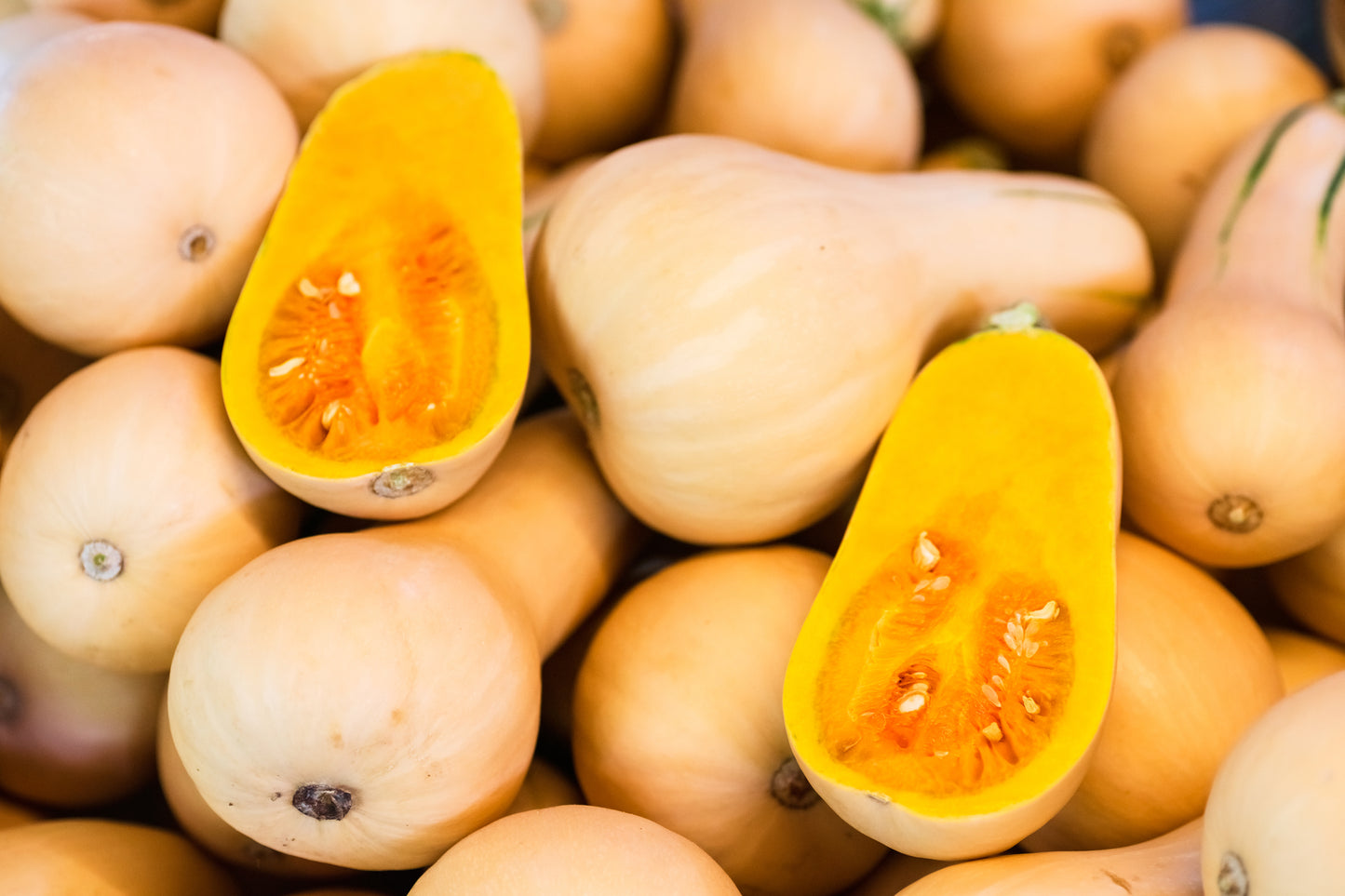 Honeynut Squash 2 count