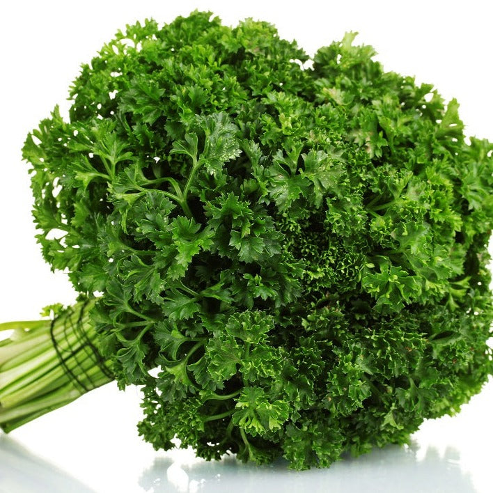 Curly Parsley