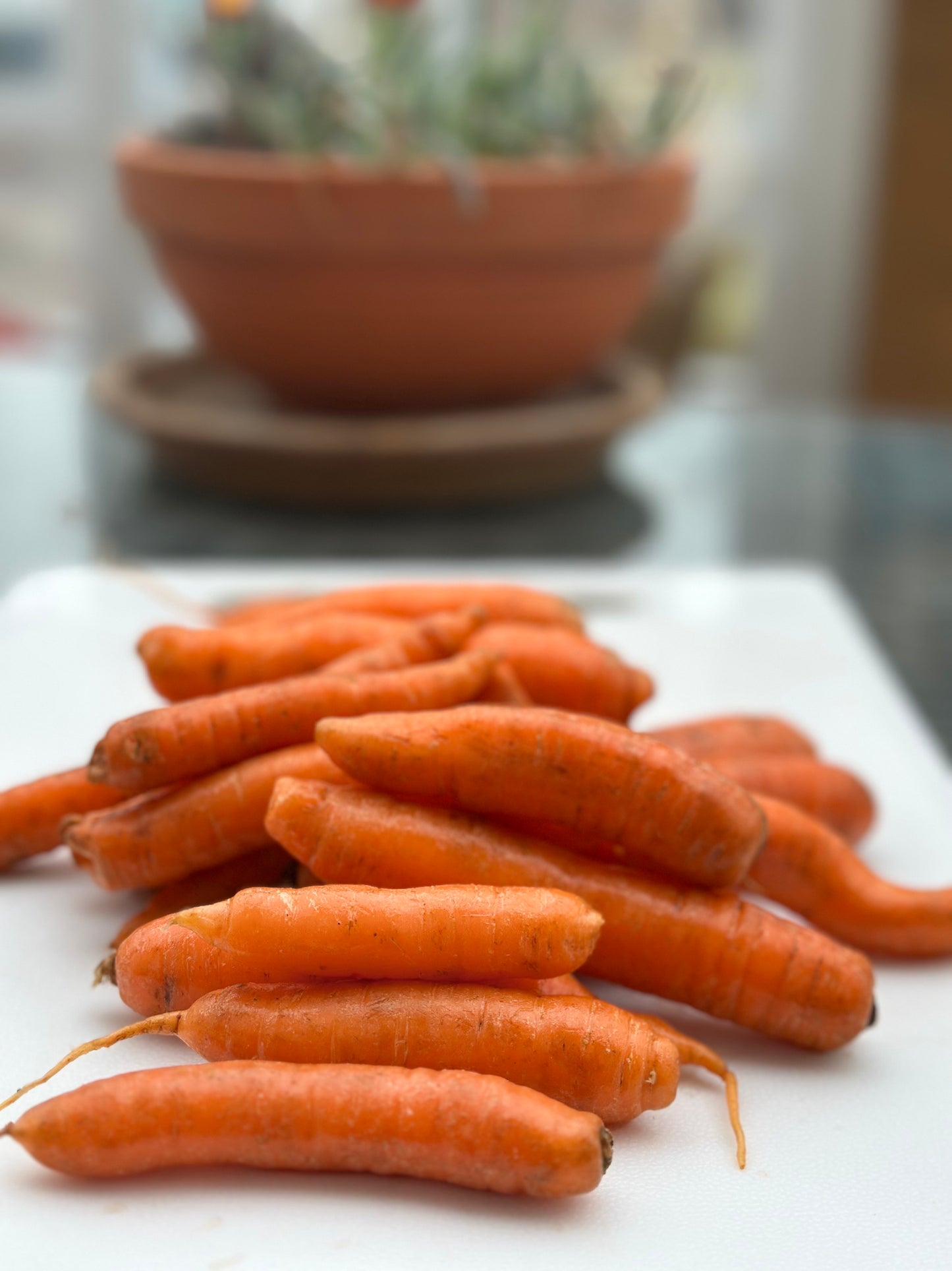 Baby Carrots