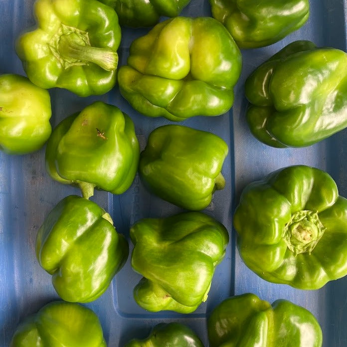Green Pepper