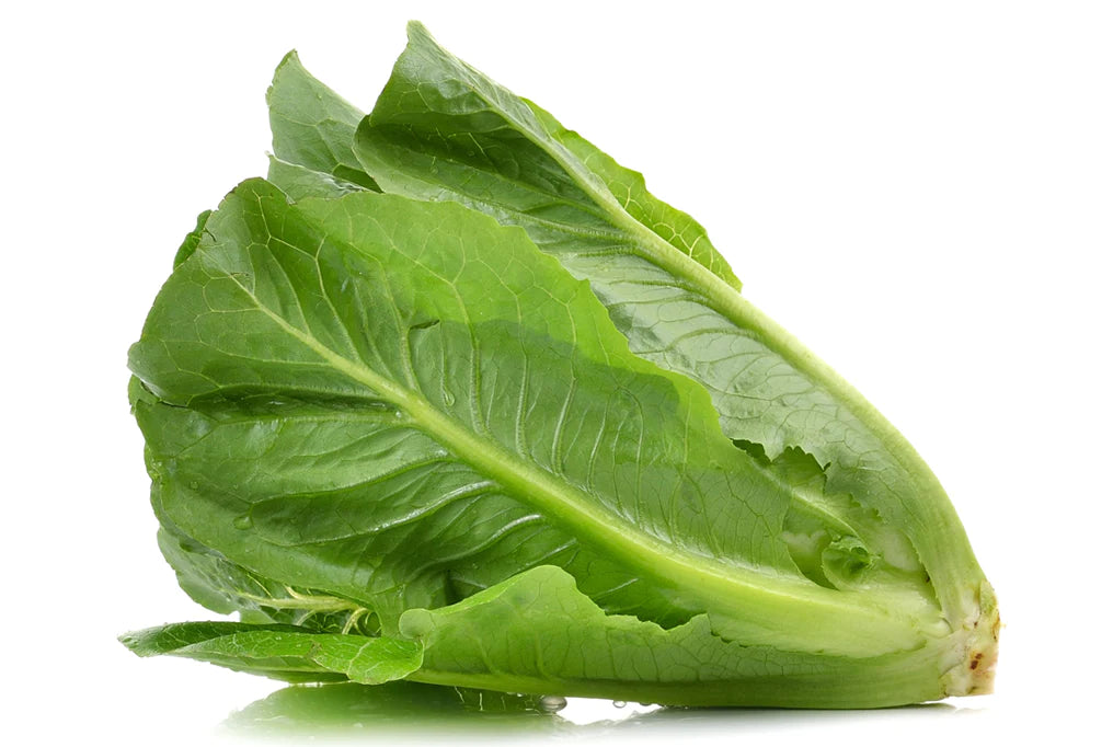 Spring romaine