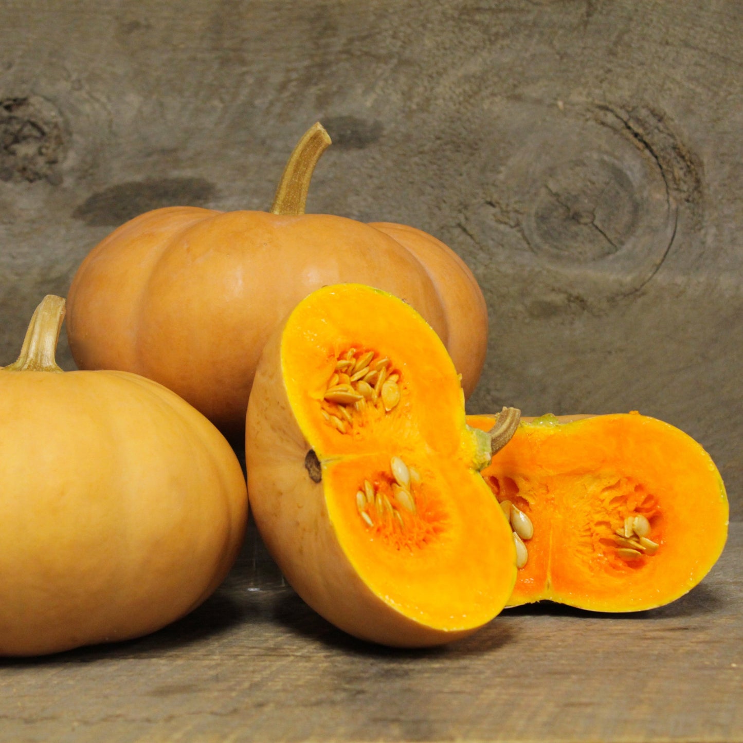 Butterkin Squash