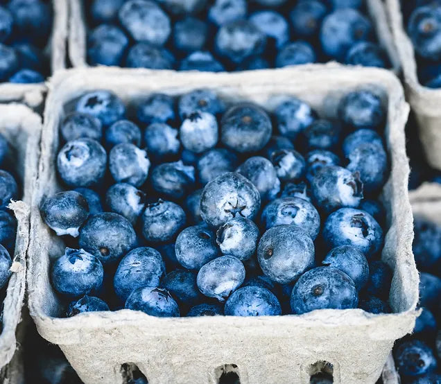Blueberries