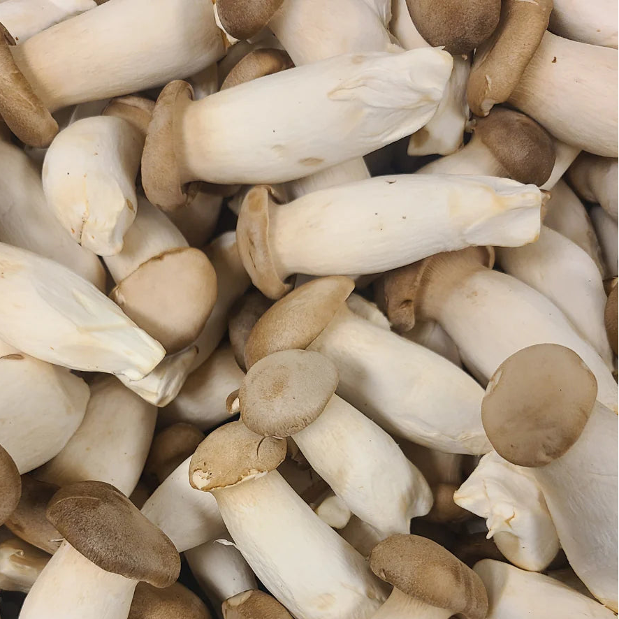 King Oyster Mushrooms