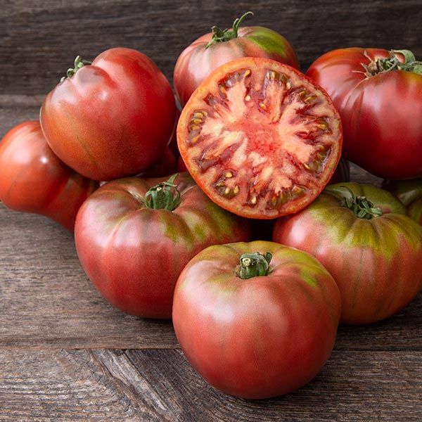 Beefsteak Tomato Plant