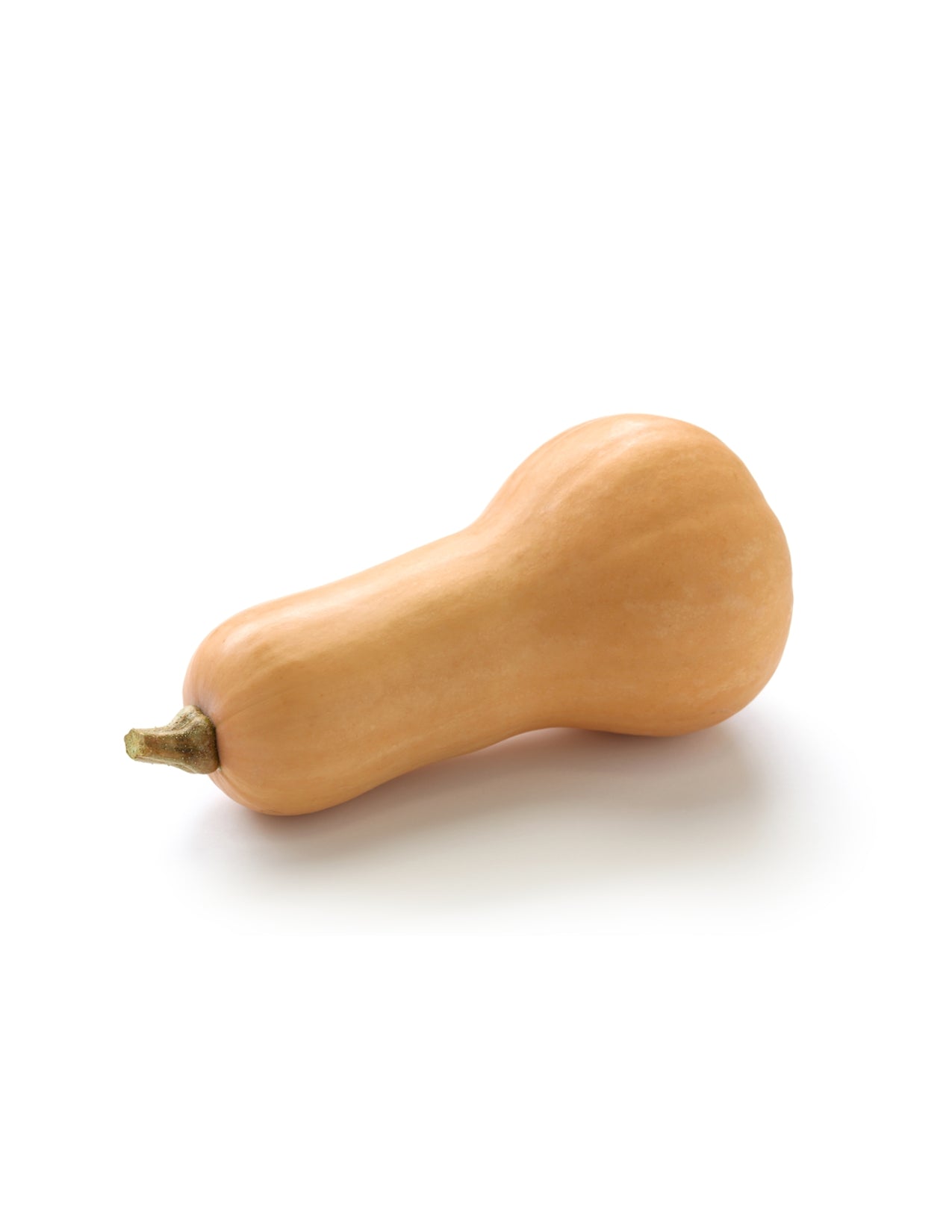 Butternut Squash