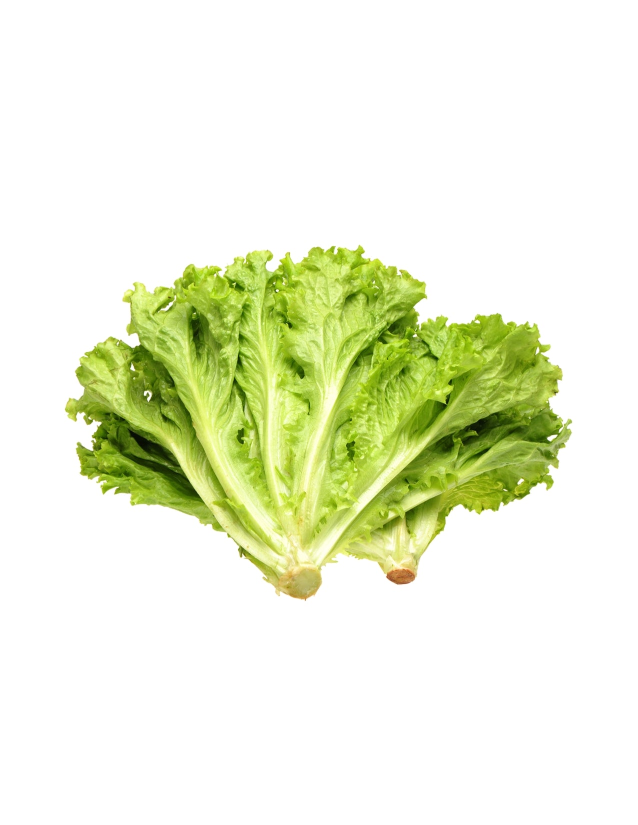 Escarole