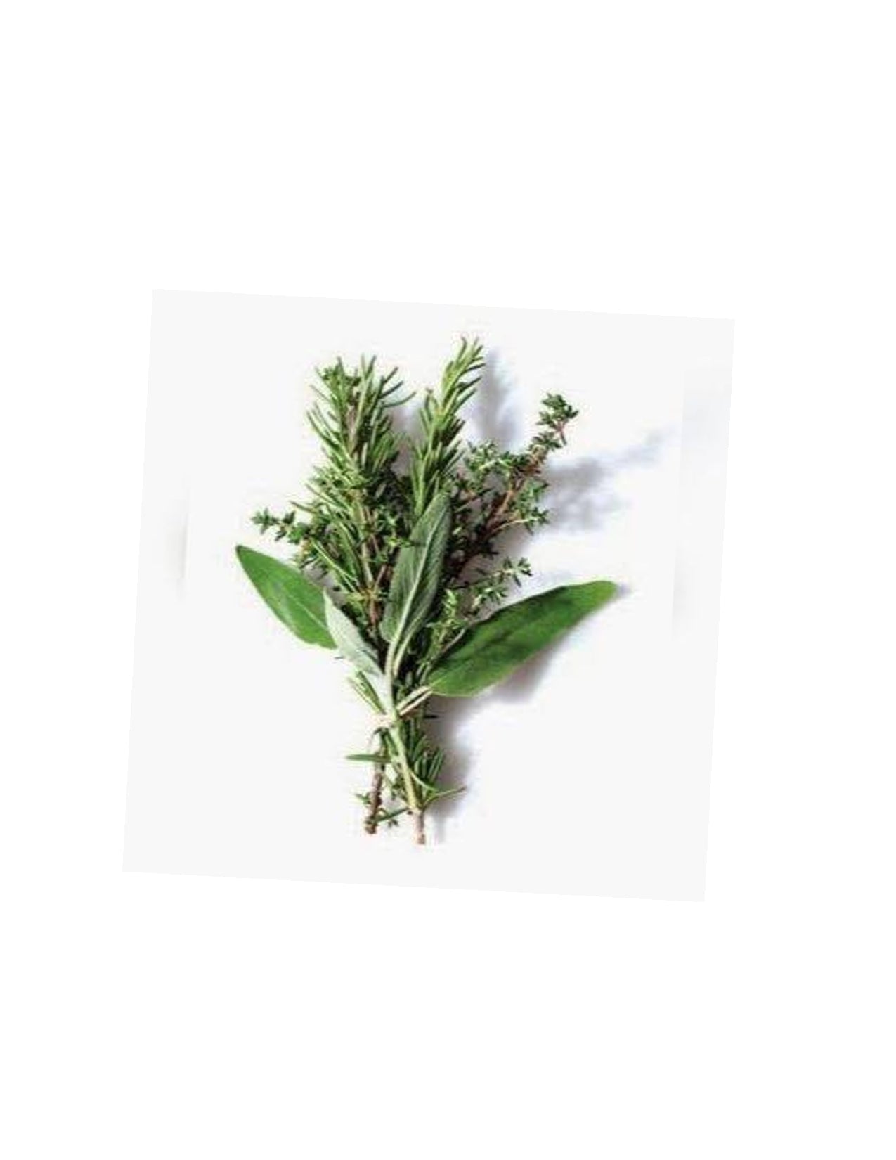 Herb Bundle