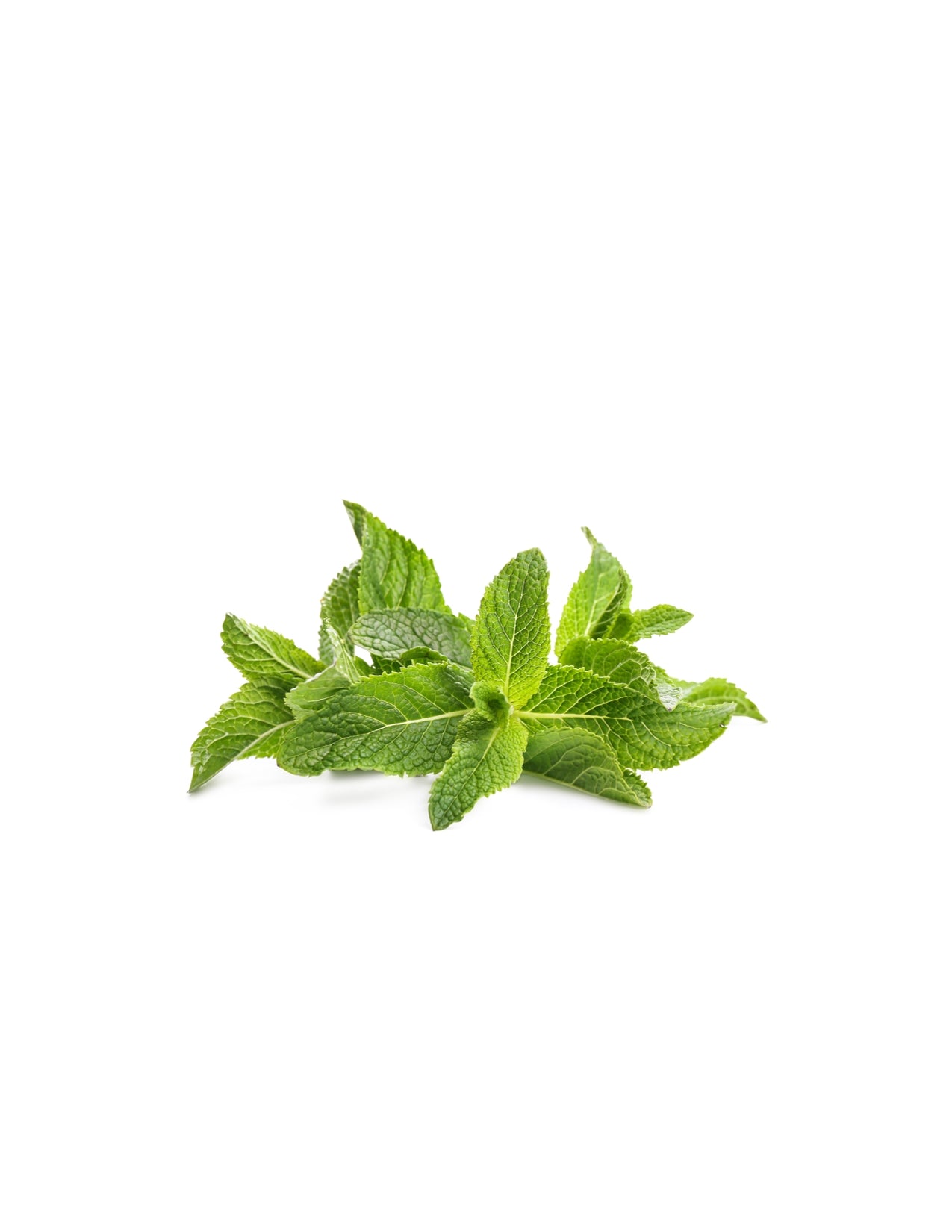 Mint