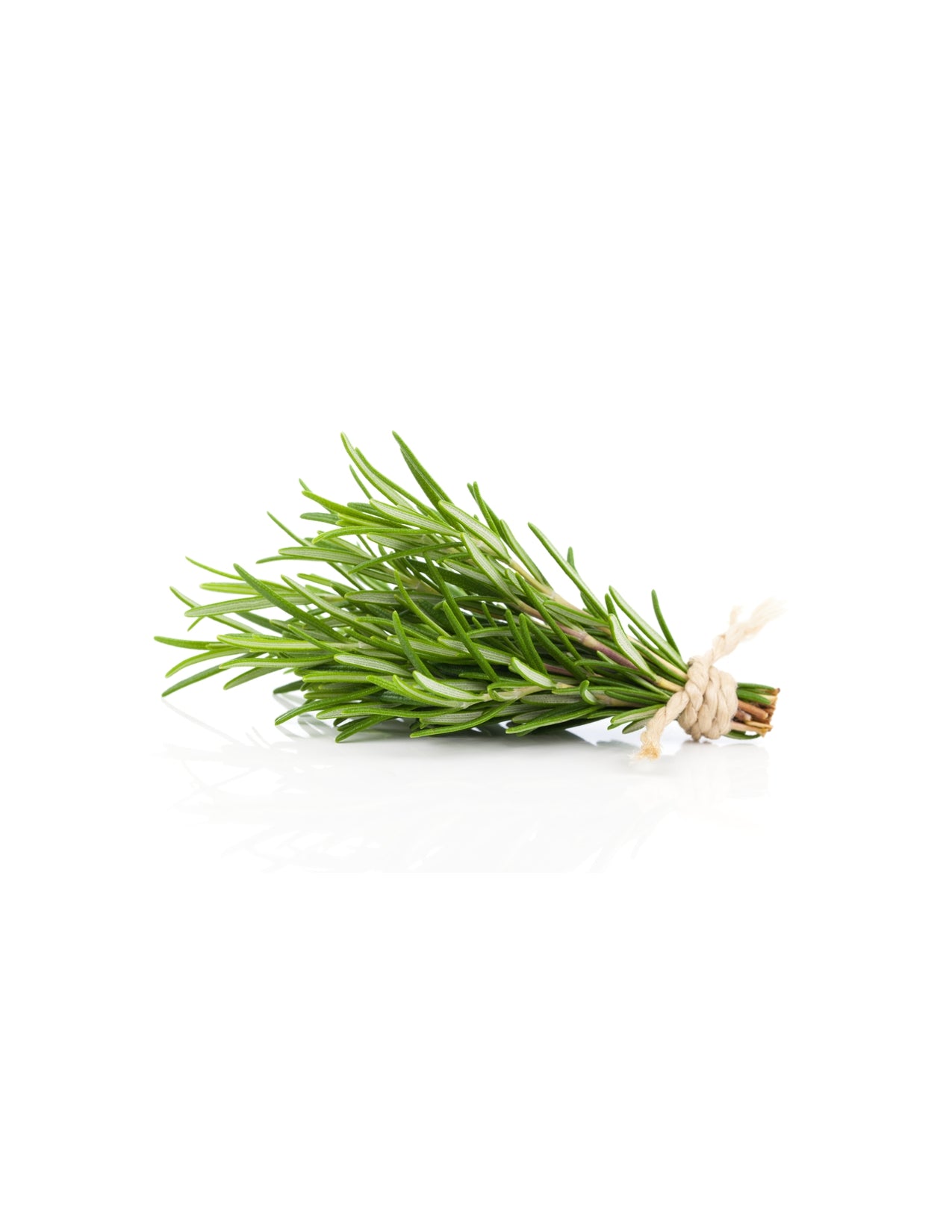 Rosemary