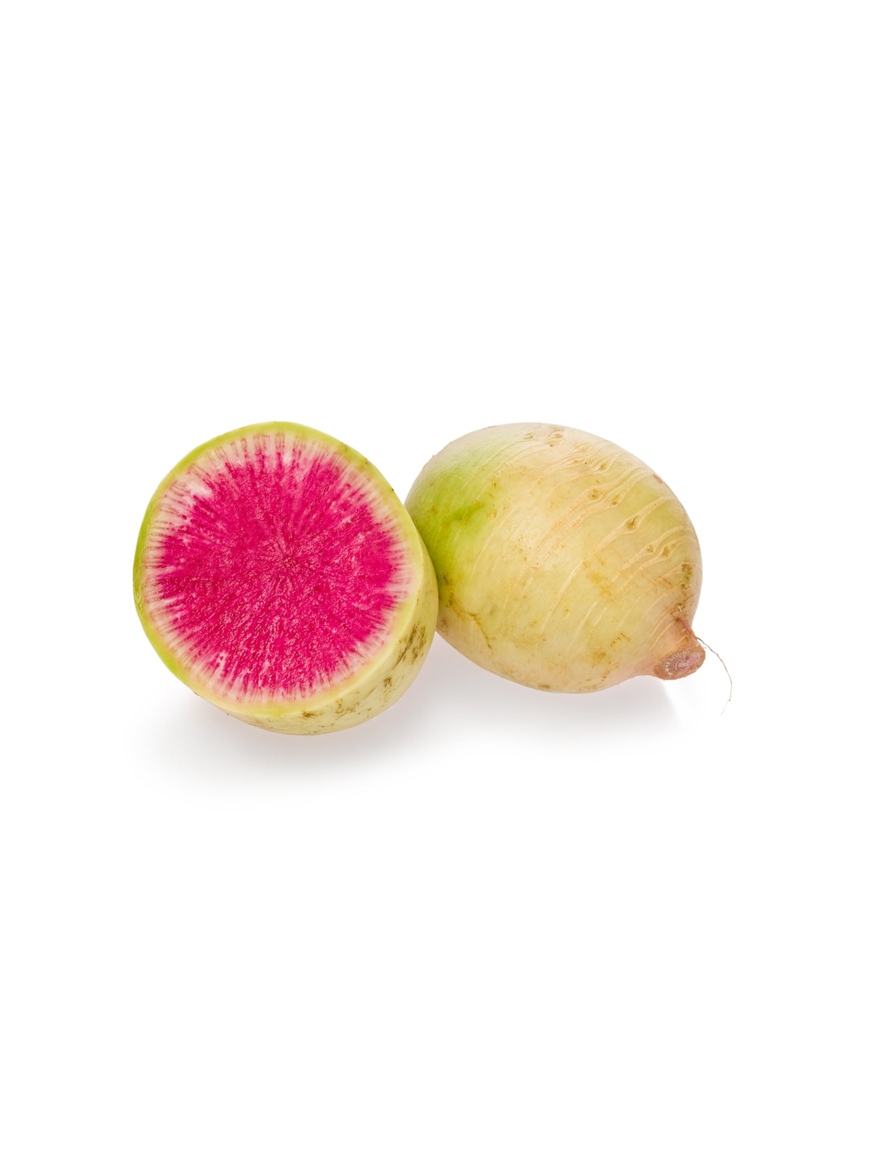 Watermelon Radish