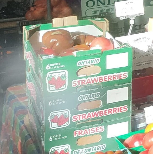 Beefsteak Tomato