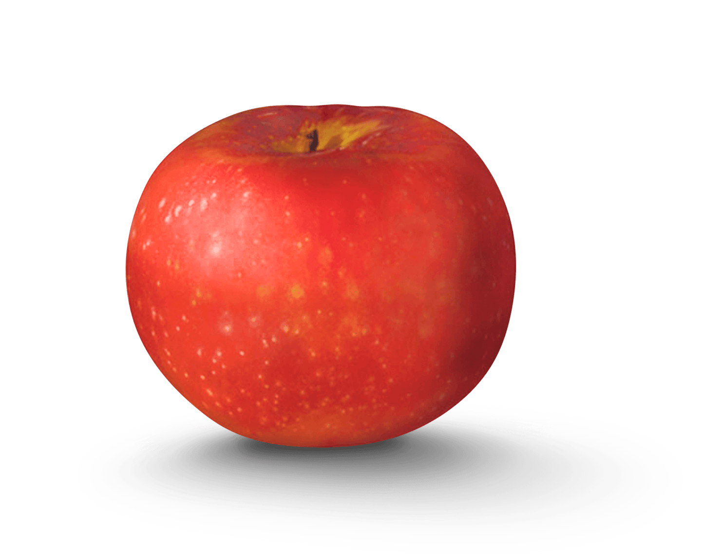 Paula Red Apples