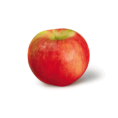 Zestar Apples