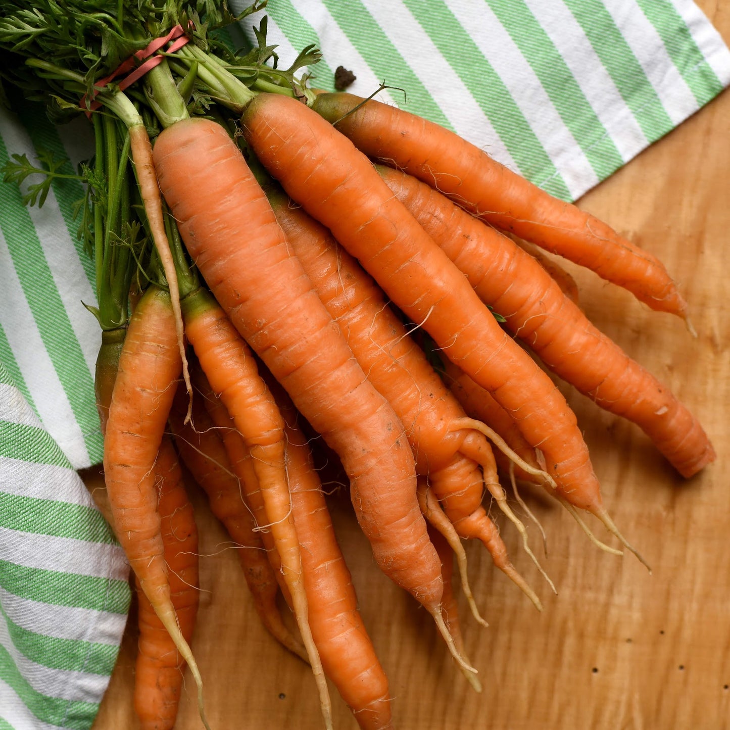 PFENNING Carrots