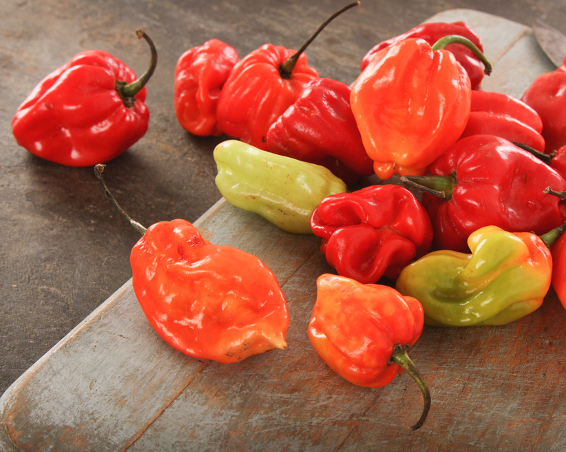 Habanero pepper scoville best sale