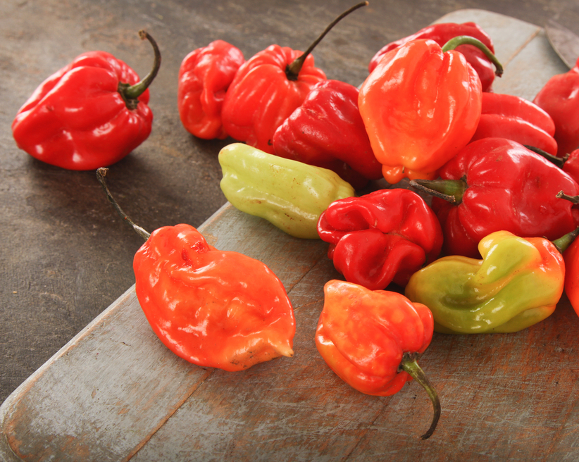 Habanero Hot Peppers