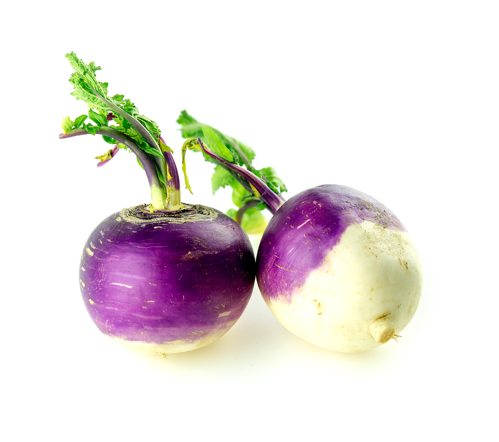 Purple Top Turnips