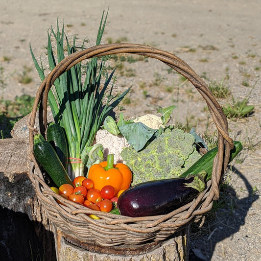 Wicker basket filled with fresh vegetables on a wooden stump outdoors.