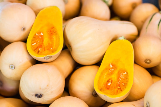Honeynut Squash 2 count