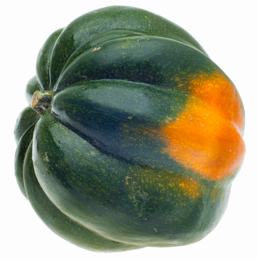 Acorn Squash