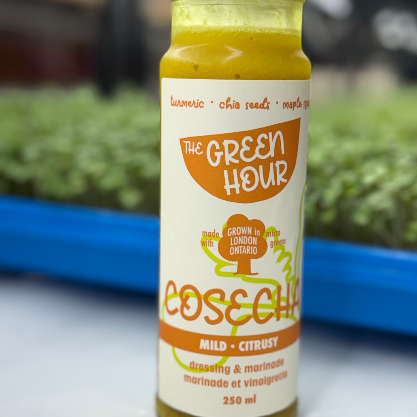 Cosecha Salad Dressing