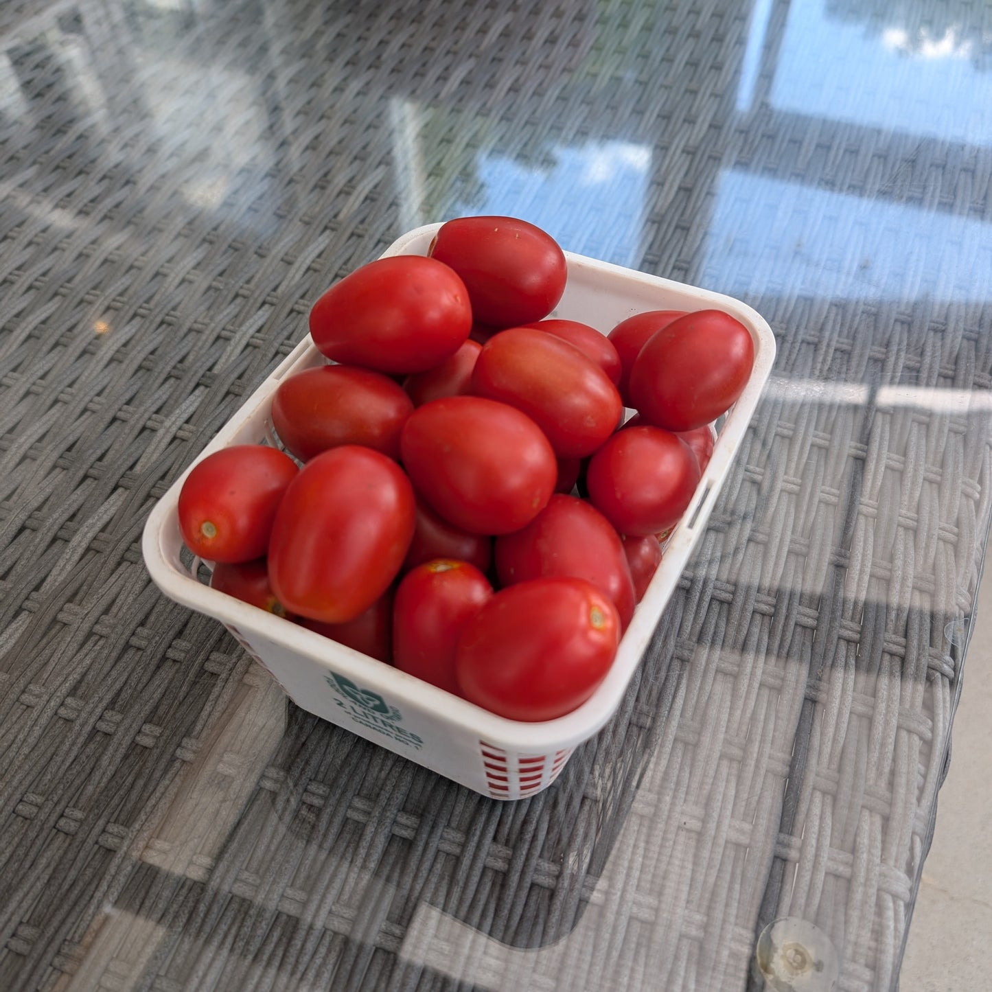 Salad Tomatoes