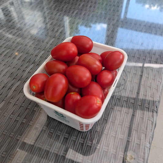 Salad Tomatoes
