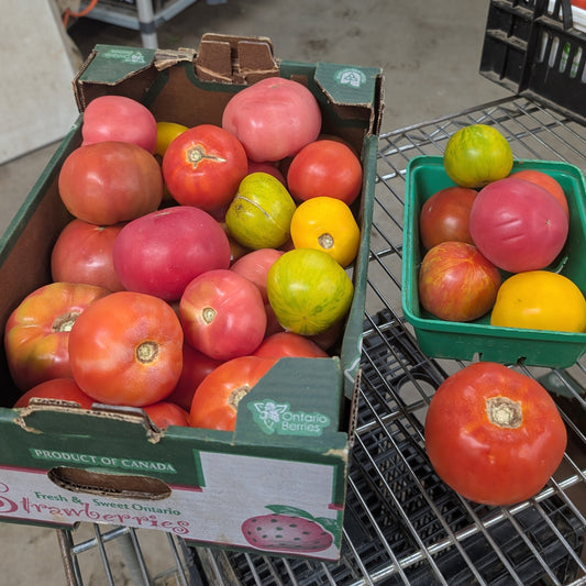 Beefsteak Tomato