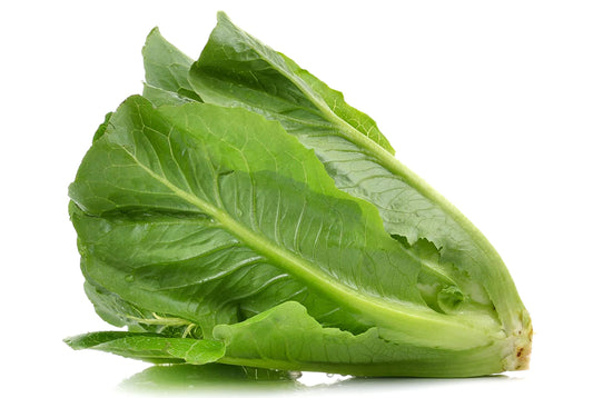 Spring romaine