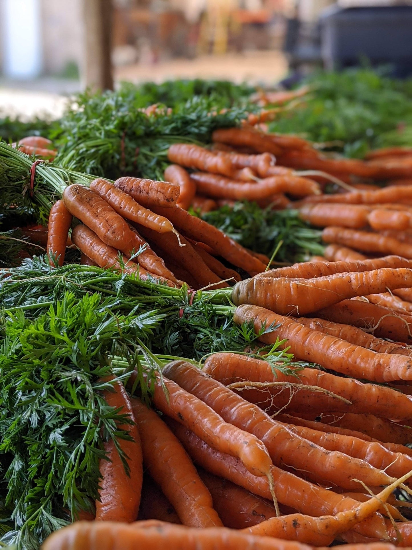 Carrot bunch