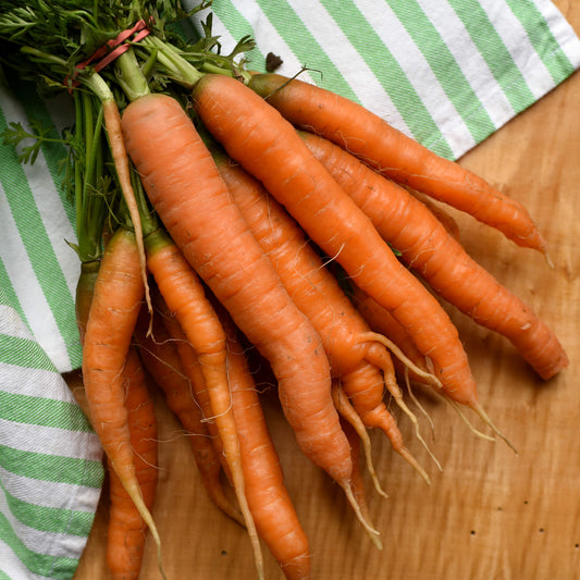 Carrot bunch