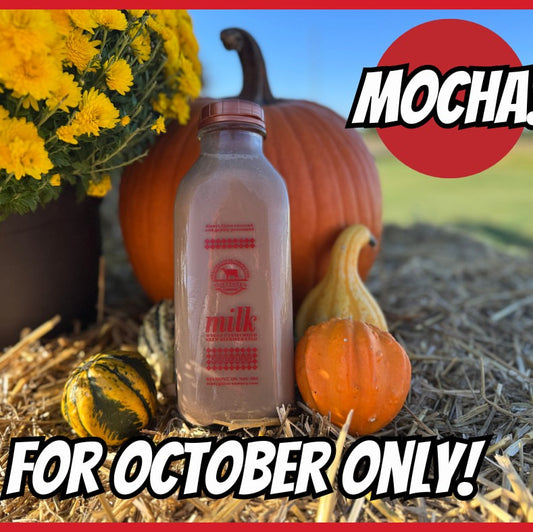 Mocha Milk