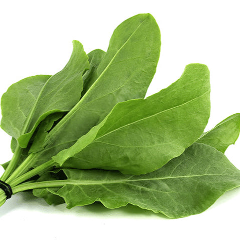 Sorrel