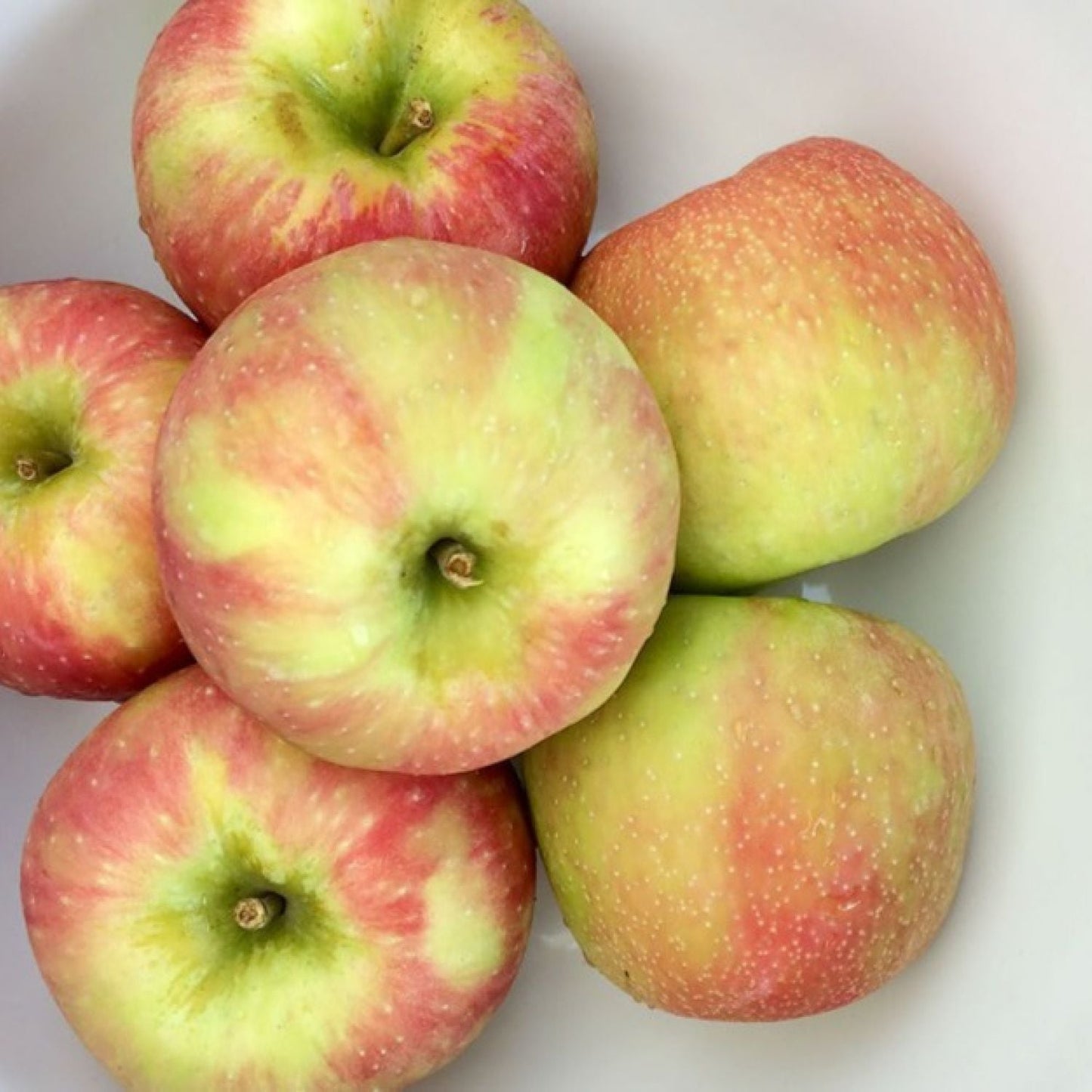 Organic Jazz apples
