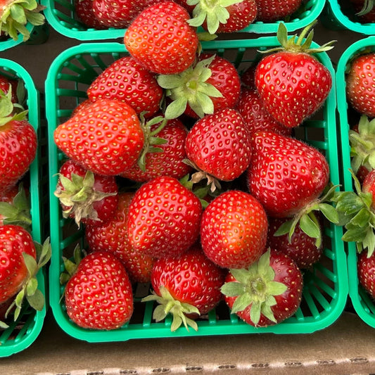 Strawberries (Everbearing)