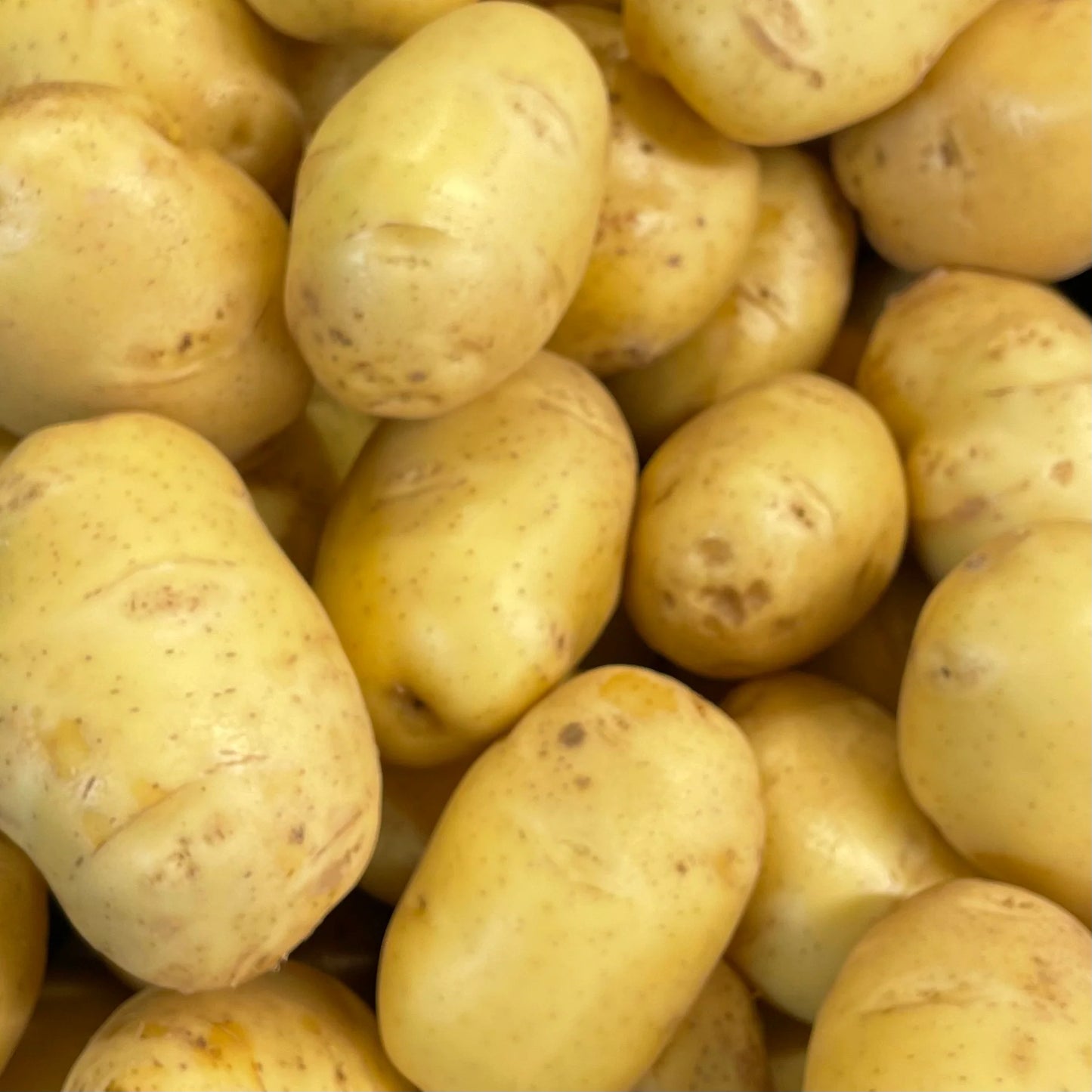 Potatoes