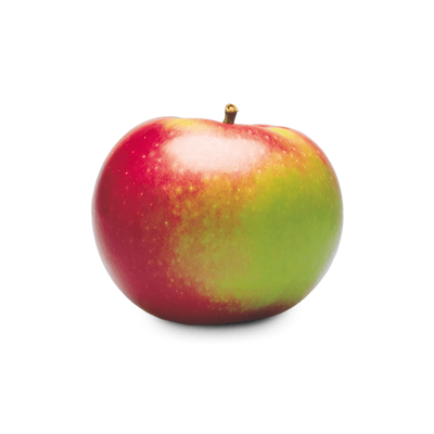 Organic Spartan Apples