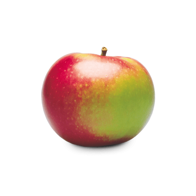 Macintosh Apples