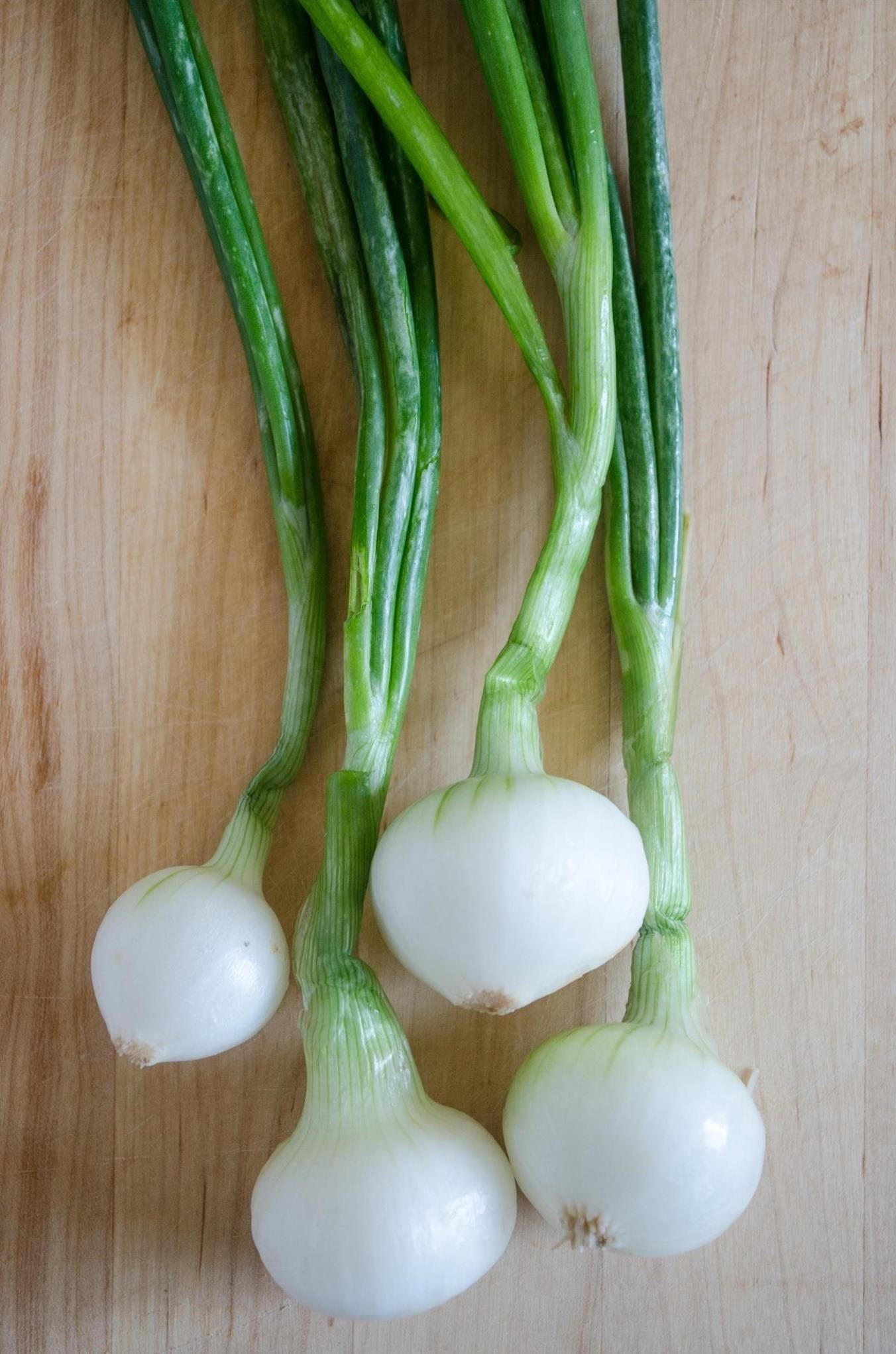 Bunched Onions