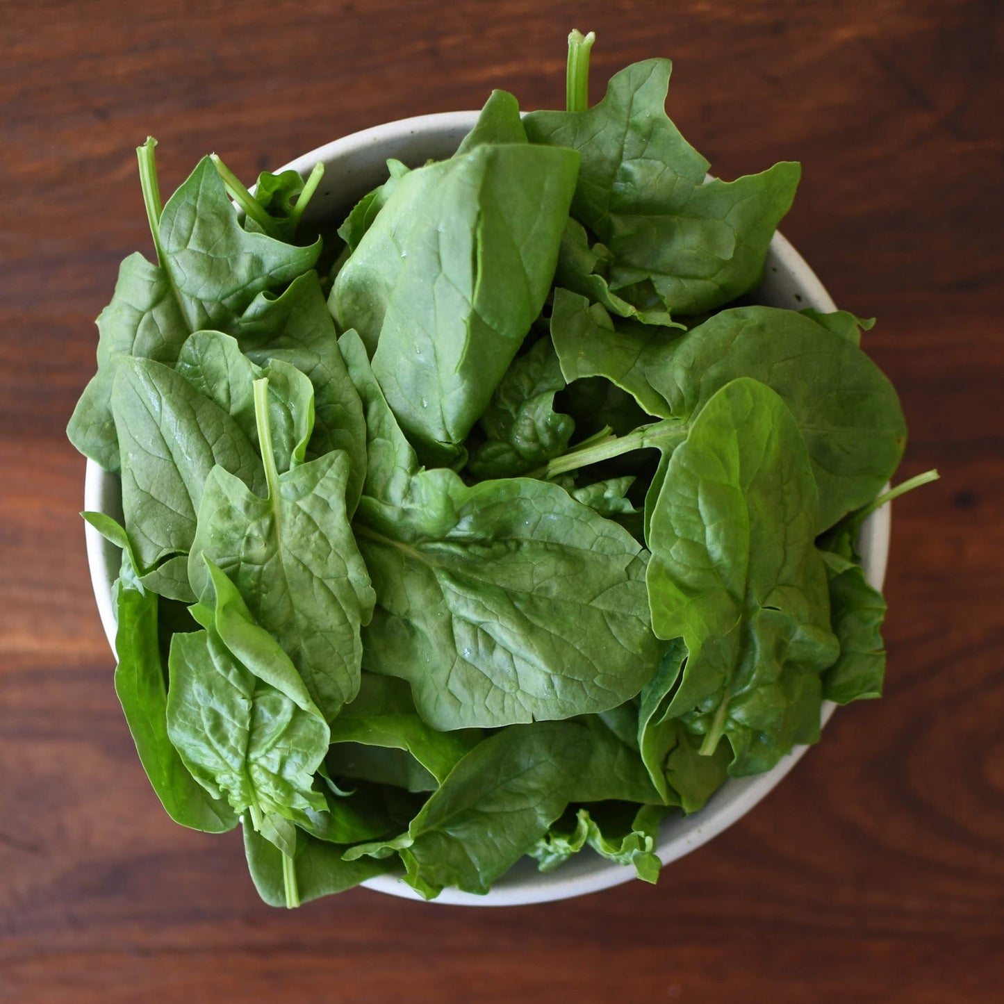 Spinach (Urban Roots)