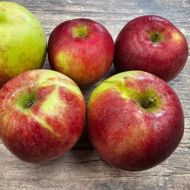 Organic Liberty Apples