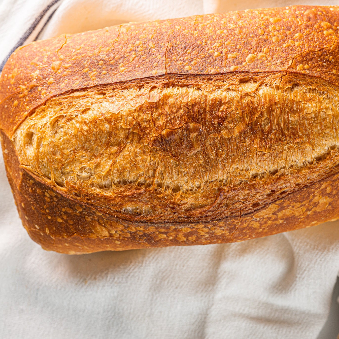 Artisan Bakery Sourdoughs