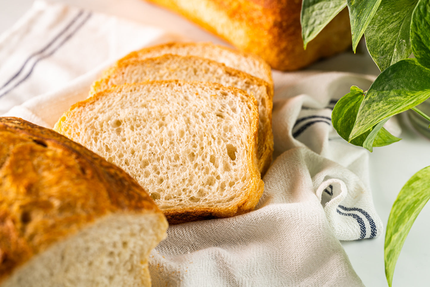 Artisan Bakery Sourdoughs