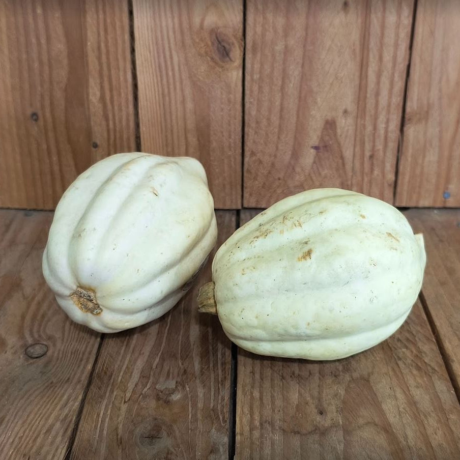 Acorn Squash