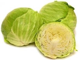 Tendersweet Cabbage