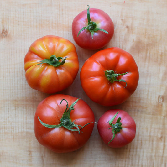 Beefsteak Tomato