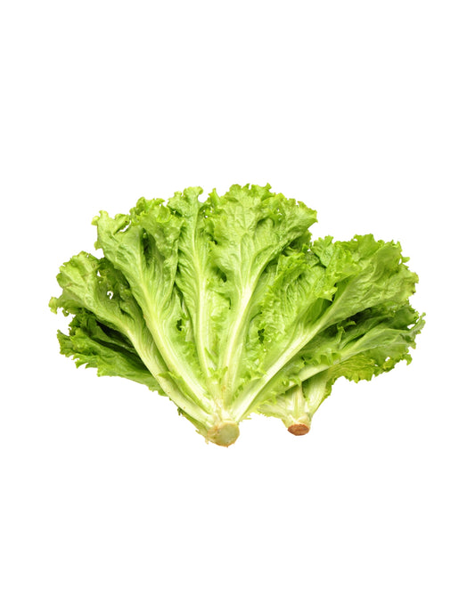 Escarole